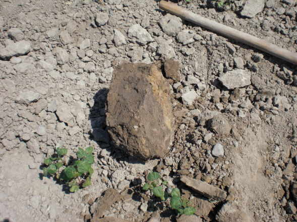CIMG0739